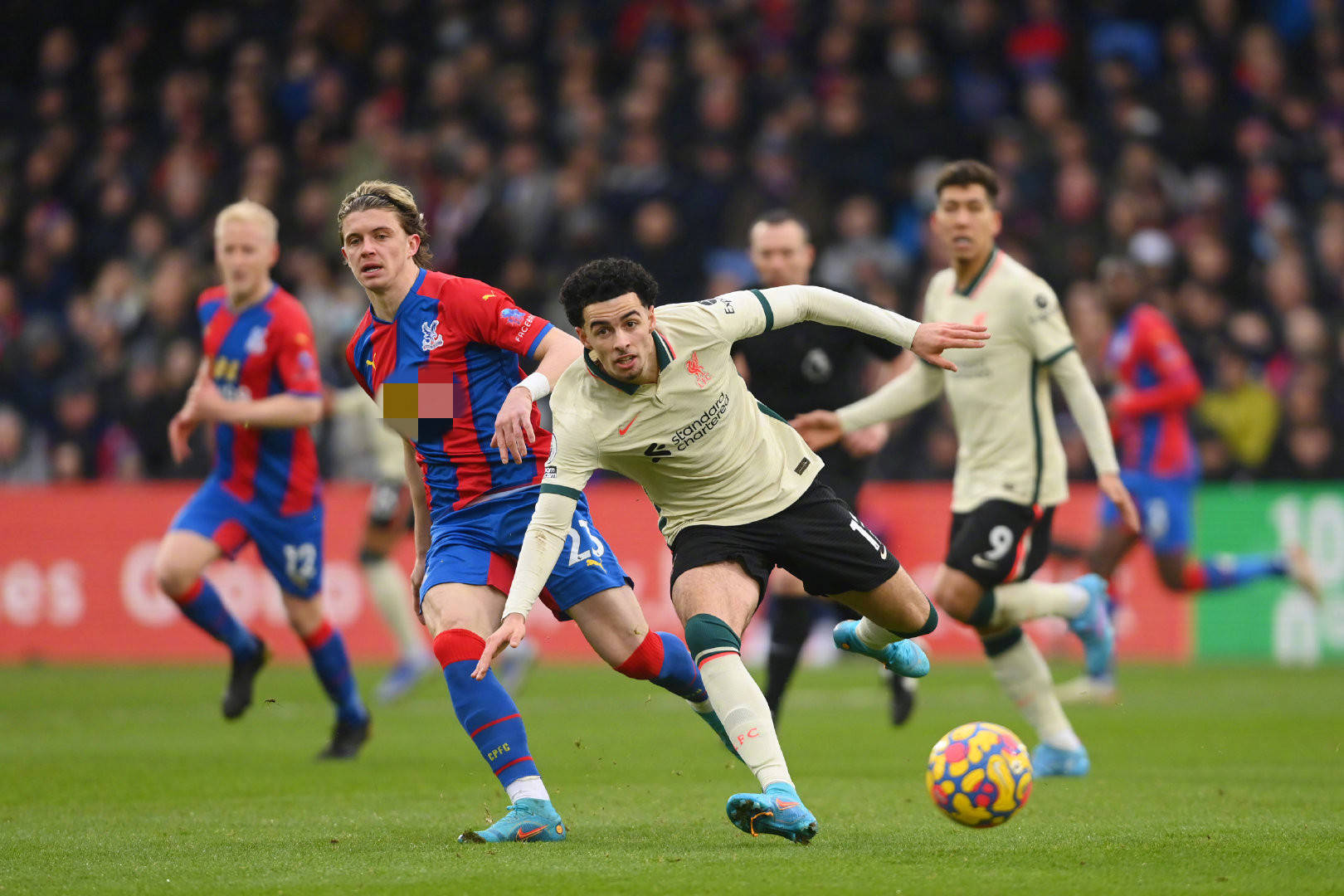 因的缺席 因的缺席